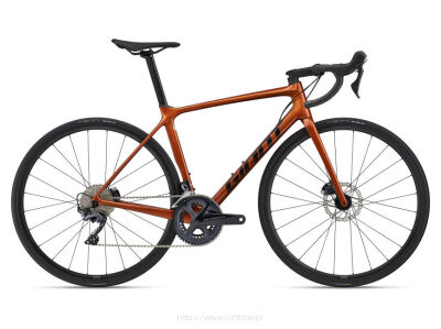 TCR ADVANCED DISC 1 2022